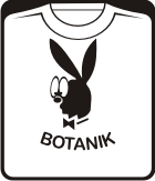 Прикольные футболки: PLAYBOY ботаник